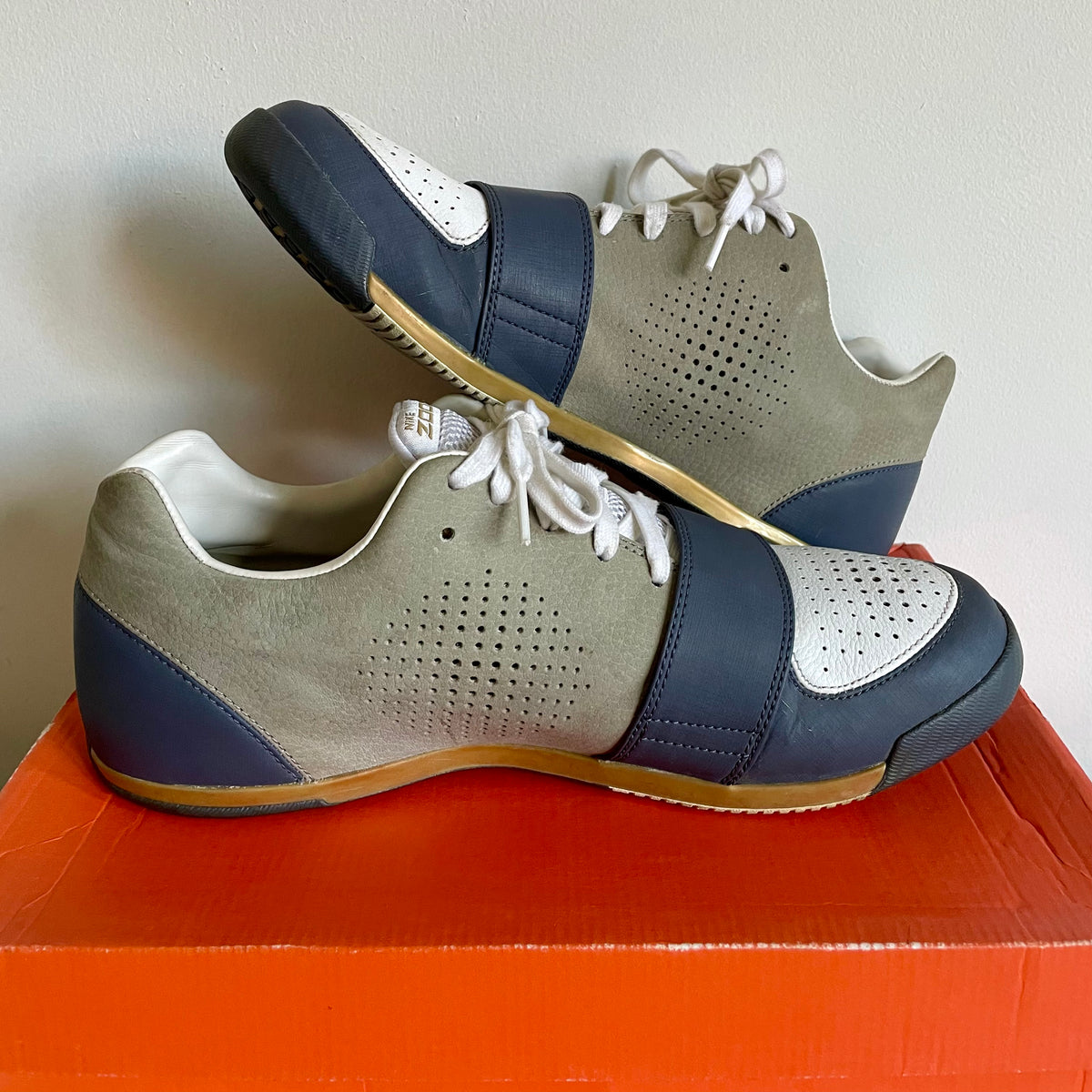 スパイク・シューズ Nike Zoom Condition TR 2007 Nike Zoom TR – Eclectic Heat