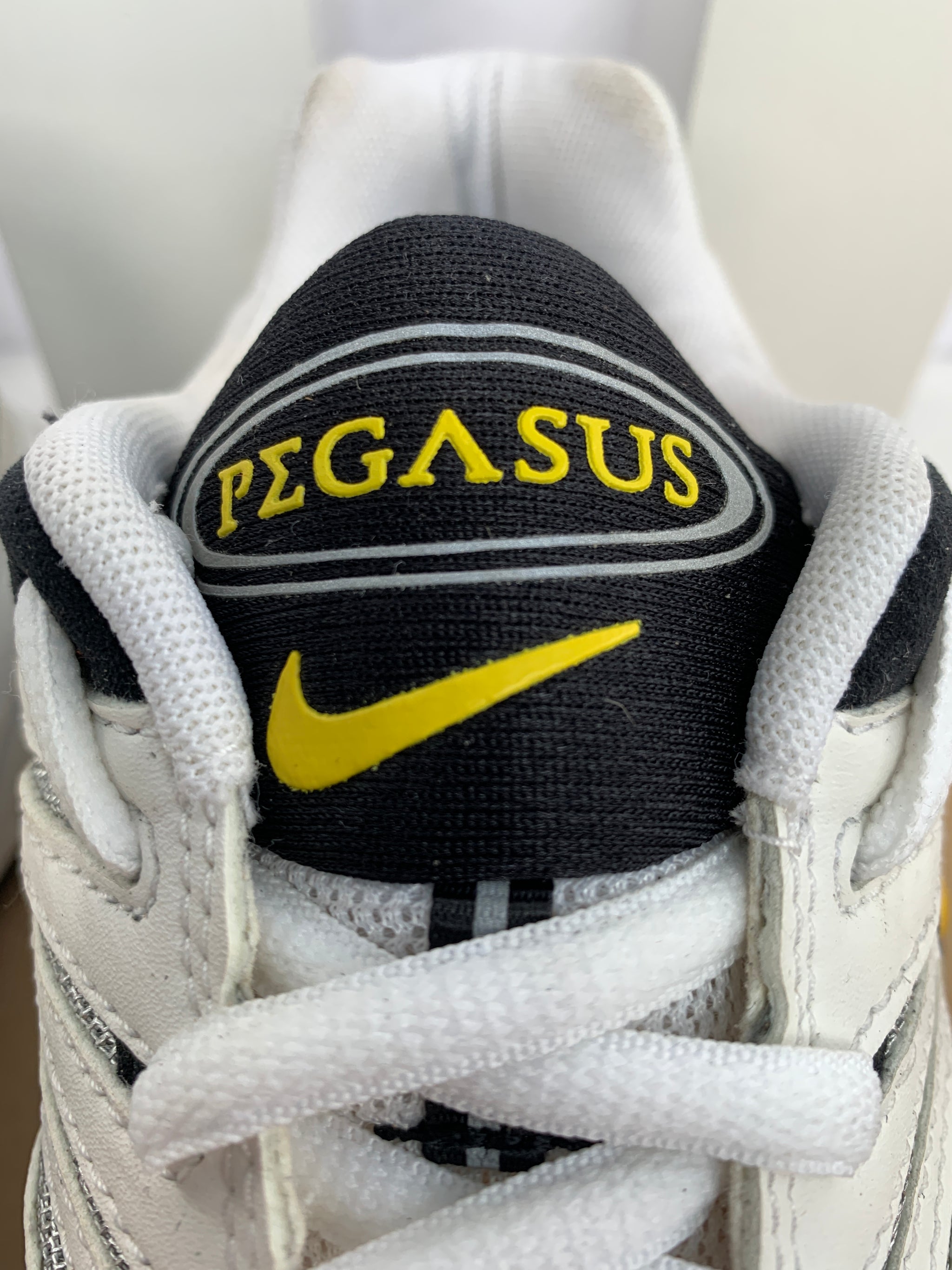 nike air pegasus 2002